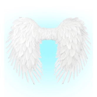 Doplnky - Widmann Péřová křídla andělská bílá