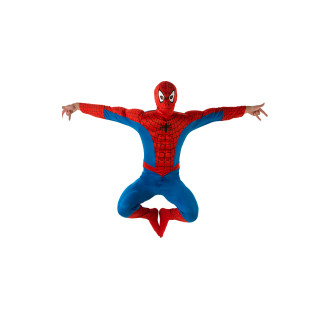 Kostýmy - Kostým Spiderman Muscle Chest - licence D M