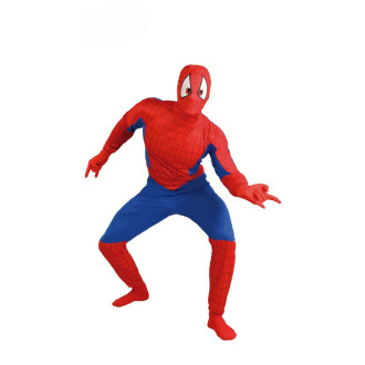 Kostýmy - Kostým Pavúčí muž