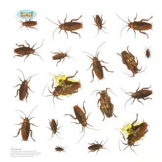 Doplnky - Dekorácie - 20 samolepiacich švábov