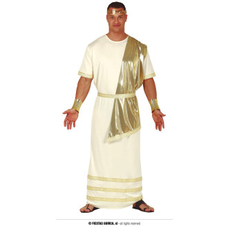 Kostýmy - Riman - kostým