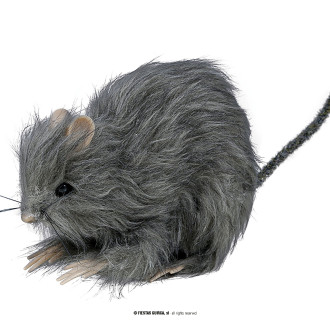 Doplnky - Malý potkan