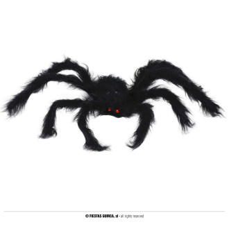 Doplnky - Čierny pavúk