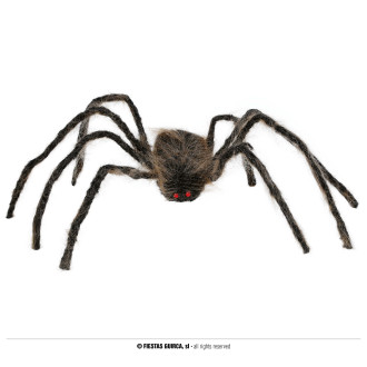 Doplnky - Hnedý pavúk