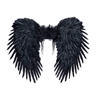 Doplnky - Widmann Čierne krídla páperové 80x60 cm