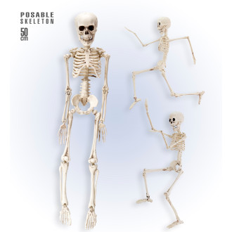 Doplnky - Widmann Kostra - Skeleton 50 cm