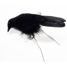 Ptáček dekorační černý