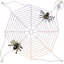 Pavúky sa sieťou
