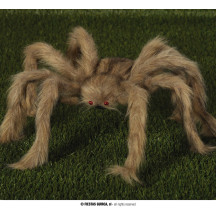 Chlpatý pavúk 60 cm