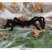 Chlpatý čierny pavúk 60 cm