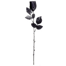 Widmann Čierna ruža 44-48 cm