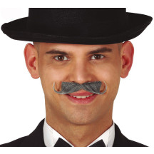 Fúzy sivé