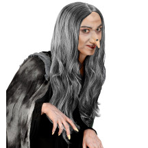 Widmann Parochňa čarodejnícka s cestičkou